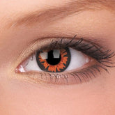 Hullu yhden päivän Volturi